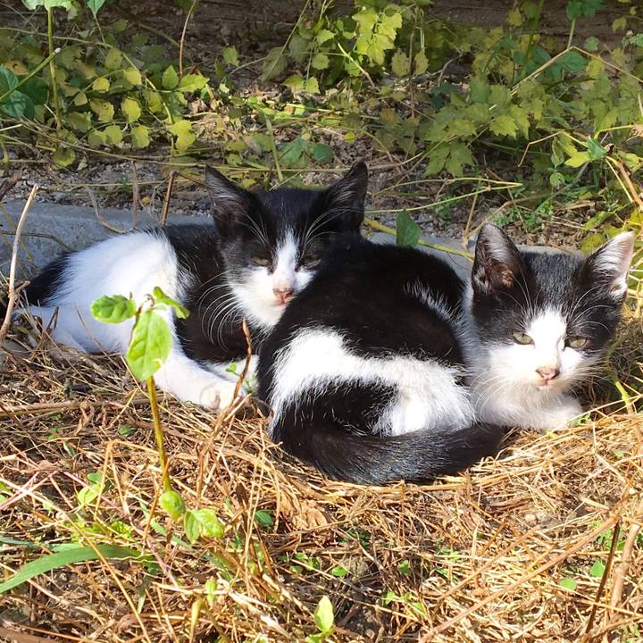 F516e891 f396 4a9e 8dc0 ca8c99c5d279