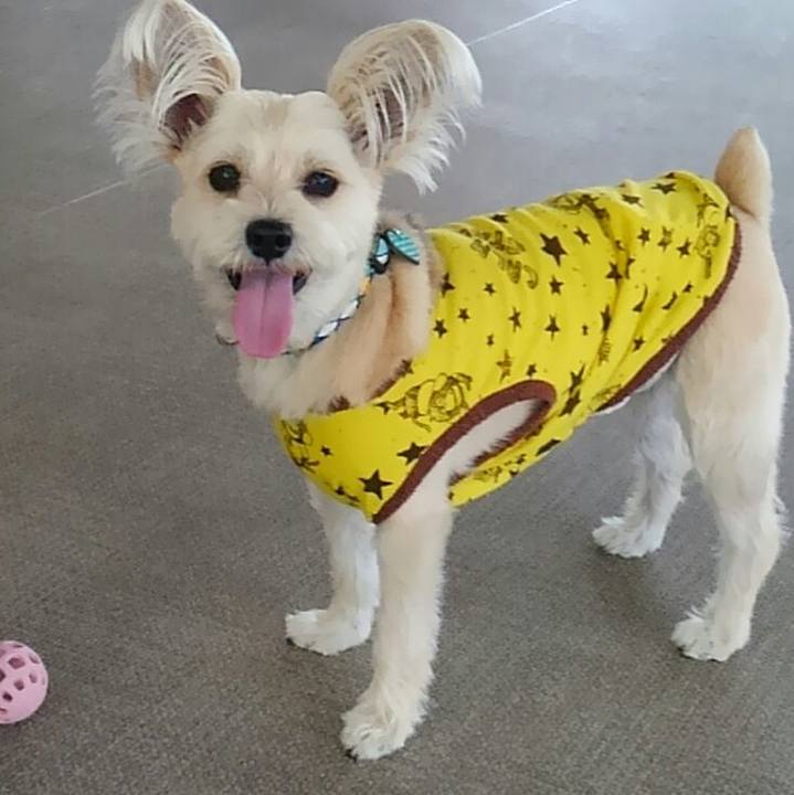 F5170856 fb9c 41a8 b998 acf4b89915af