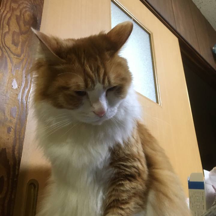 F51774b7 8a96 4e1b bf4b 136400478bb6