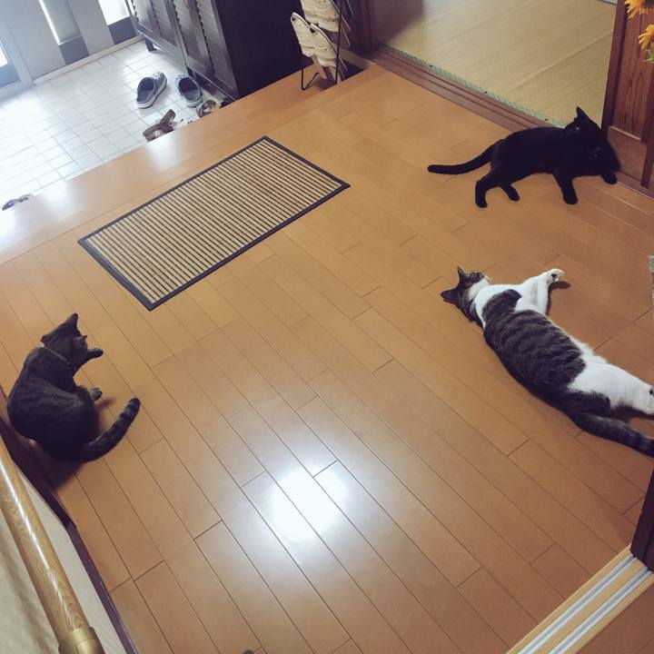 F518422b 234a 4ece a4a8 ce7a4620ceee