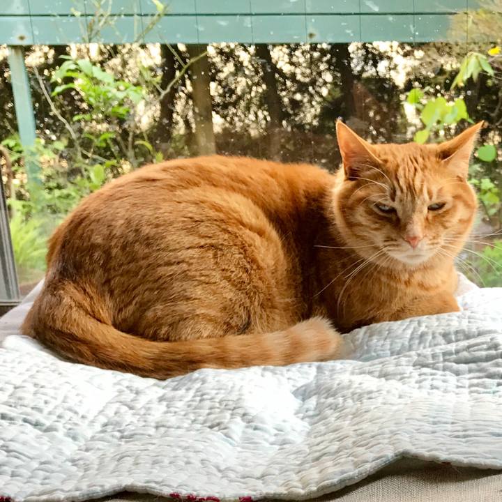 F5185cd8 0a83 457d 9576 bfa355c70ad4