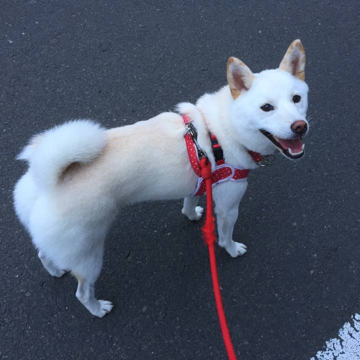 F518e303 4a1e 4bd0 9d19 57e118648189