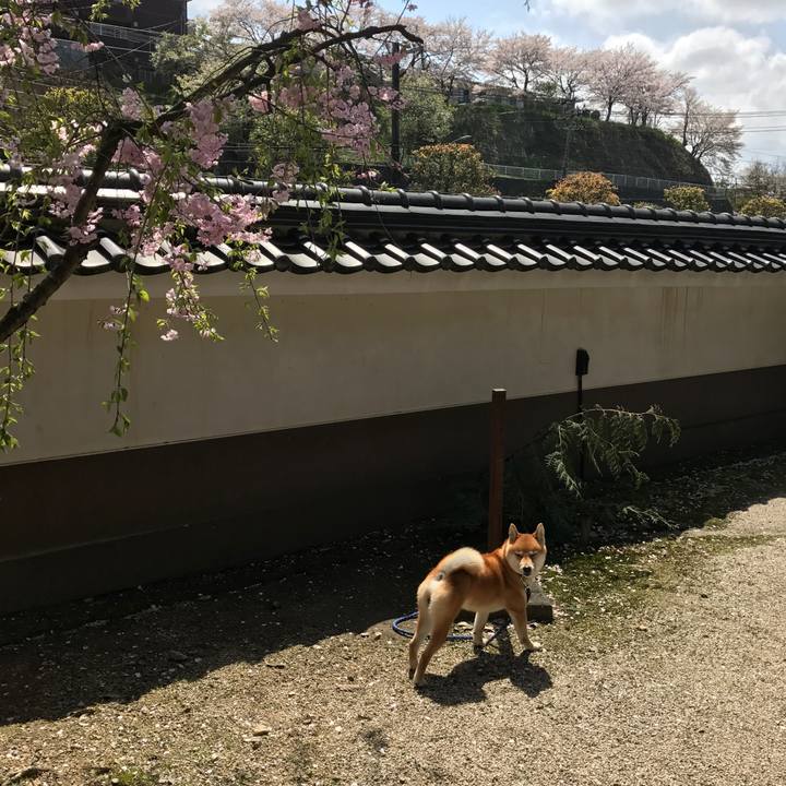 F518fdca e05f 4b77 aa62 331d4b408fc9