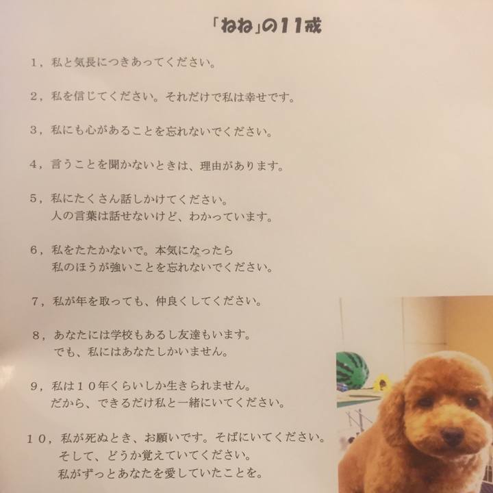 F51a3ca7 5a95 41f1 bb22 33e2b2551291