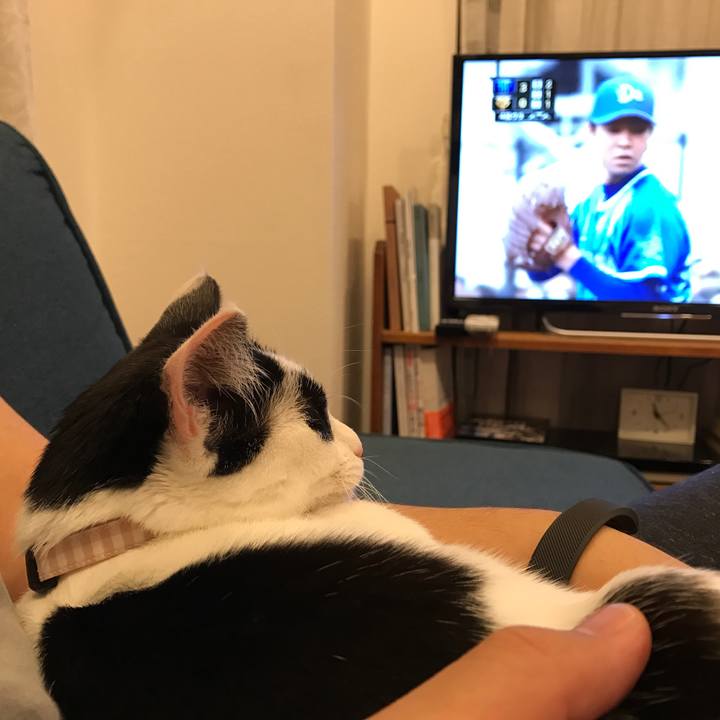 F51a7c46 f961 4a70 b028 b599c994981f