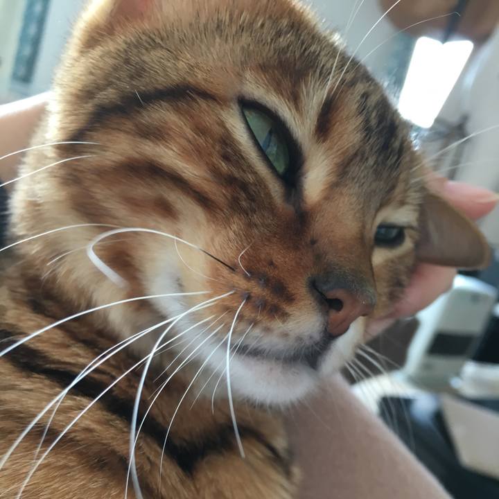 F51a957b 853d 4542 90e1 ad6d92962cae