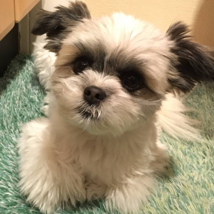 F51adbc2 6c2f 4e32 8822 c2c04db11d18