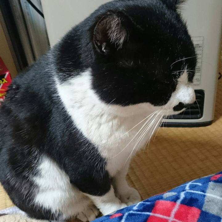 F51b22da 3393 4372 afed 7ba4b9b46c1b