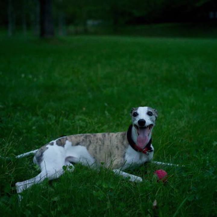 F51b4147 d5aa 43b0 8d90 ecae78cfc8aa