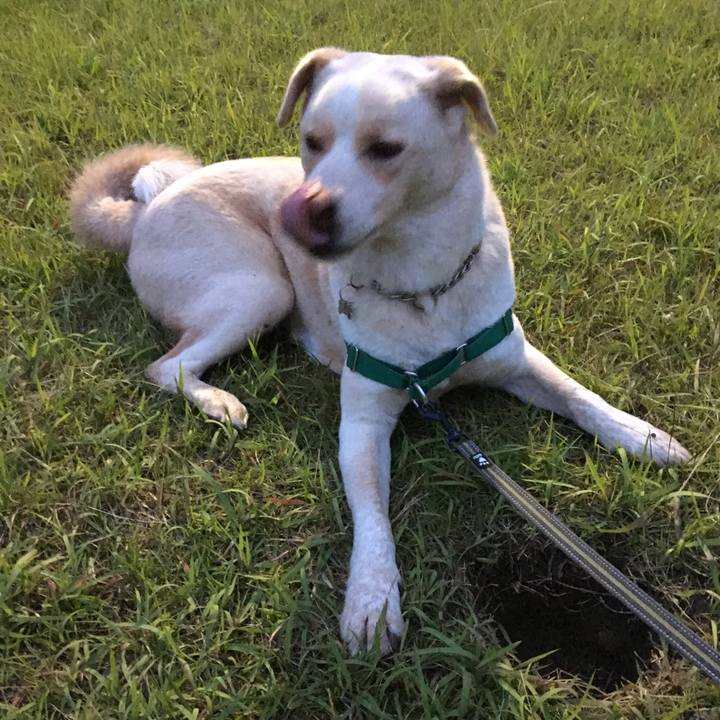 F51bd64b 666c 4fbc 96cb 5f4e407a0878