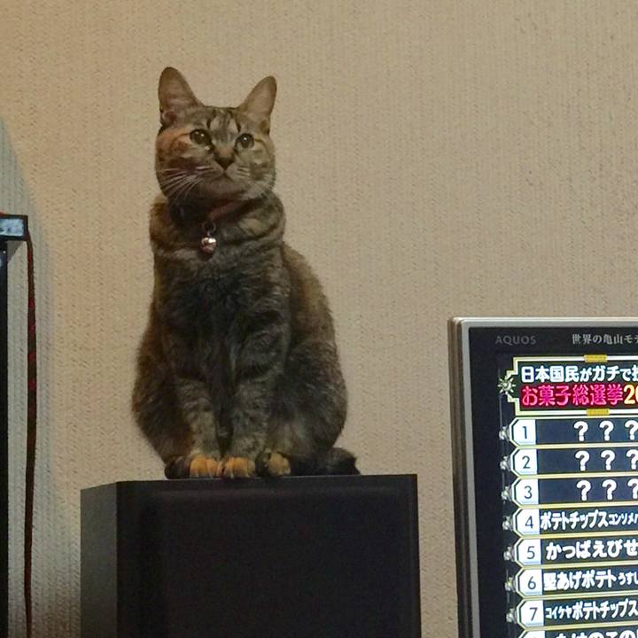 F51be77f cdee 467a bbb3 ef5e07b1c088