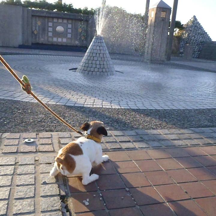 F51cdd49 c42d 41c1 acf5 3e39166f4ece