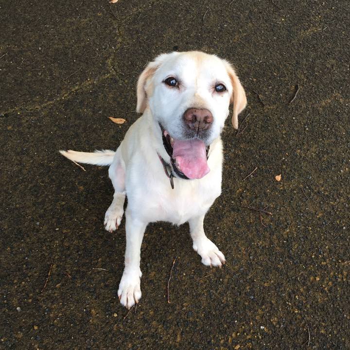 F51ddcec 9831 4919 a502 237ef1c1740d