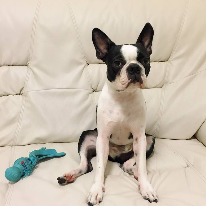 F51de523 dd07 41f5 9f33 729599b44a7d