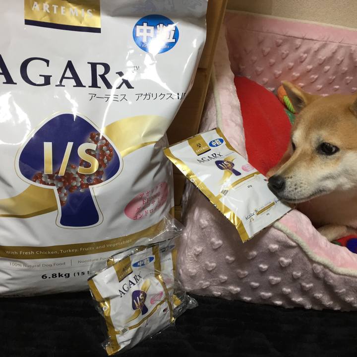 F51ede6f f4cc 4e10 92d6 c77cd35277c6