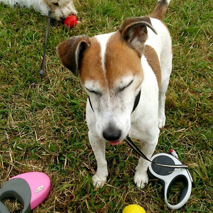 F51f64c5 9734 470d bd05 5db45a2c4c45