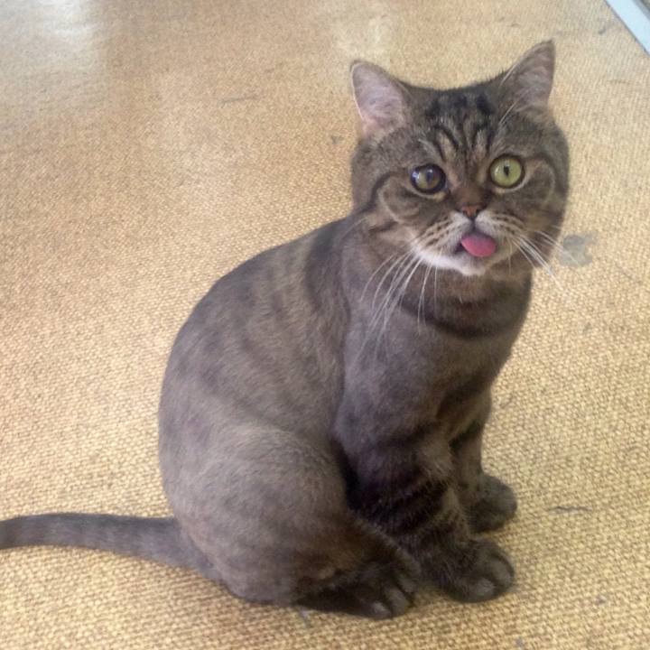 F51fd807 6b4a 4978 b0bb 6316e0257db5