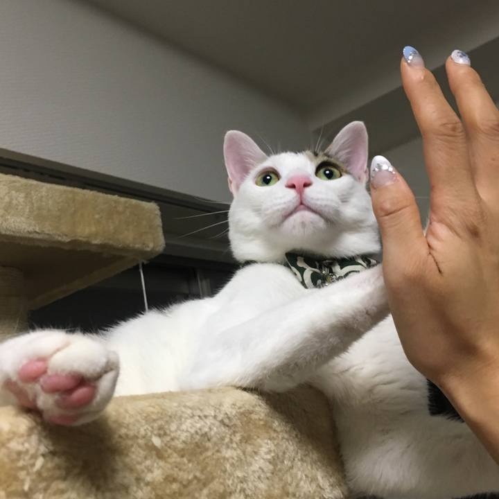 F5205dff 42b7 4b1f 89e4 e4ad09bce505