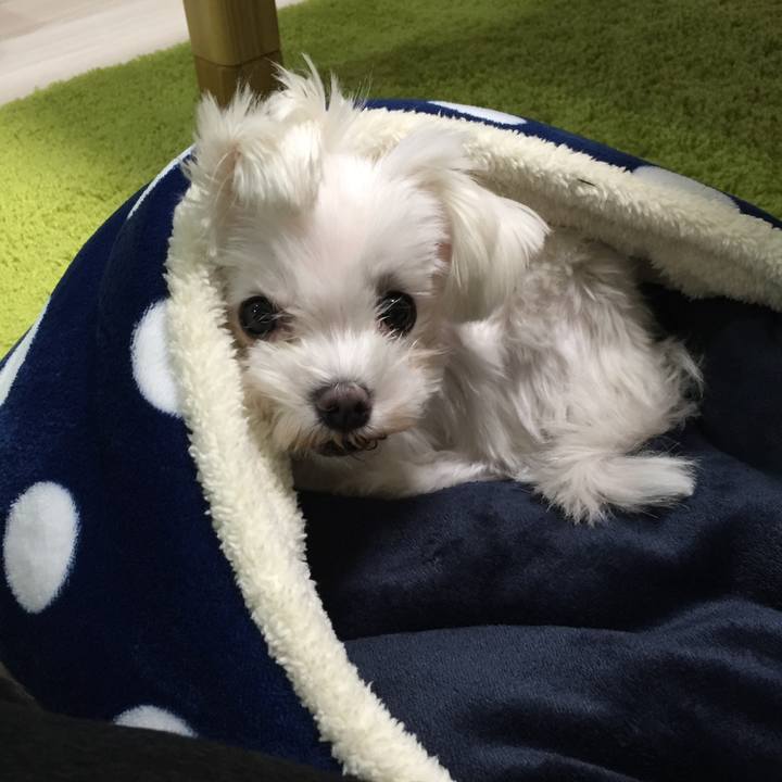 F520b54f 2905 419a bf6c 5ab5e6edbb7b