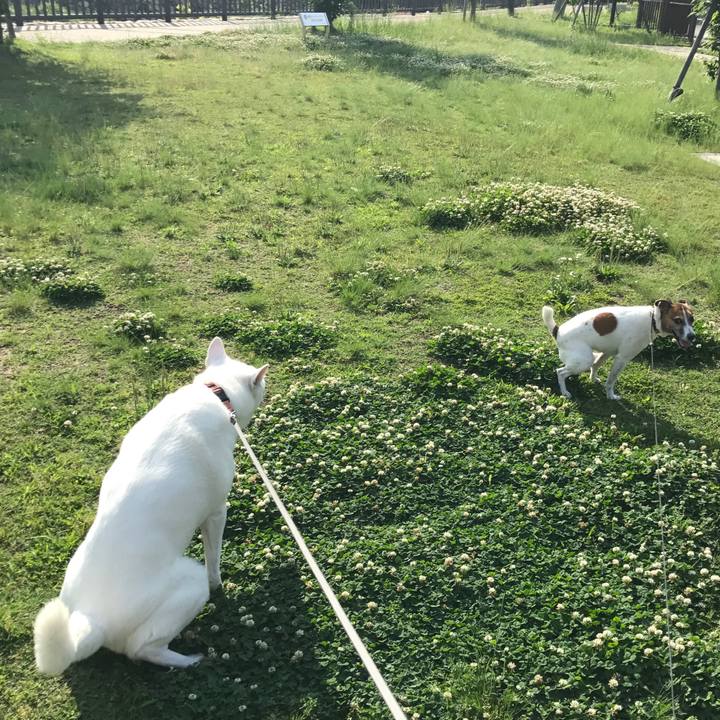 F52208a9 d892 4db0 9648 0e431d312102