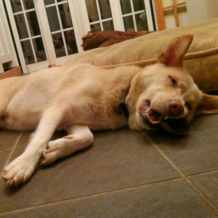 F52216fe 6c4a 427d a7c9 214741c2ef05