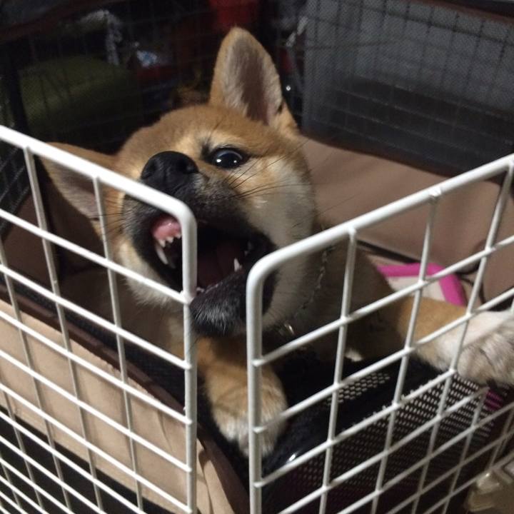 F52232b1 ddc8 4671 8bc3 b350eb75b0bc