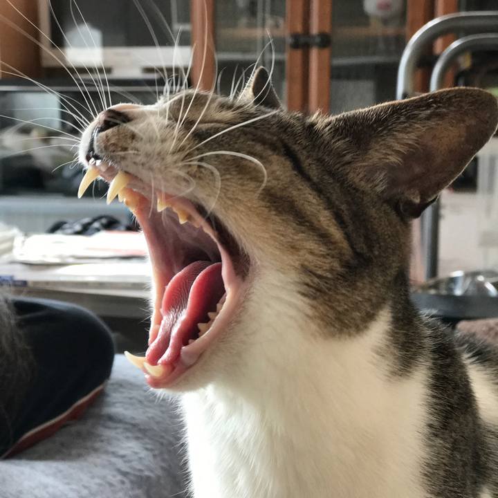 F52241af 33e8 469f 9f06 a1a2a428c9a6