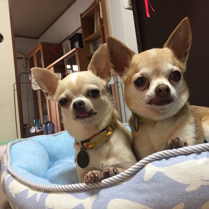 F52275ee f958 4582 ab4c 0505f739c57b