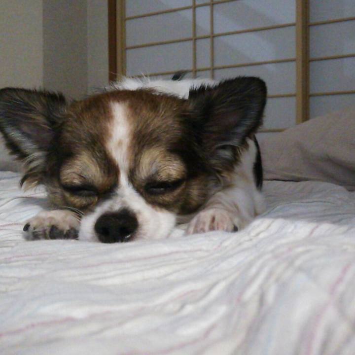 F522cc40 1d94 4e6c 9792 57160b48172c