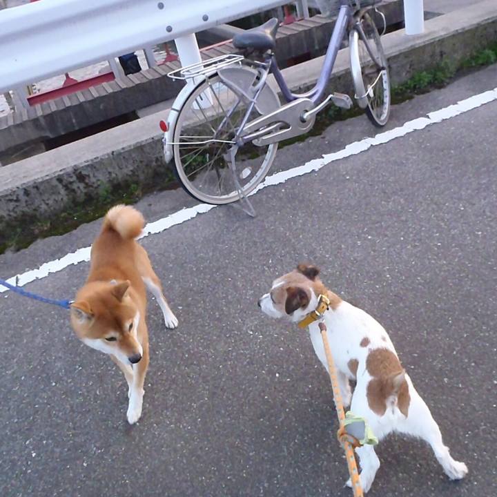 F5233bdd 8cbd 49b0 99e9 4c648ebfb2cd