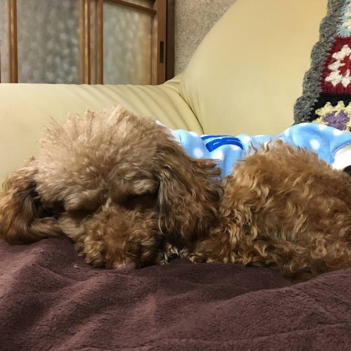 F5235b20 6bdb 4adc af40 2a7bb60029e2