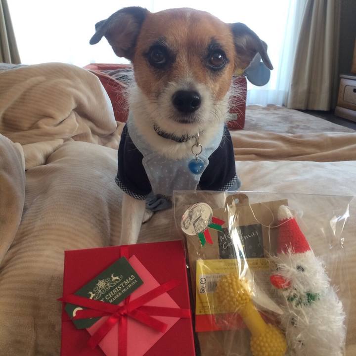 F5237624 3bfd 4822 9675 15eadebfb6ef