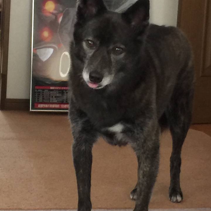 F523792b a8e5 4a67 99ad d3c07e0738b5