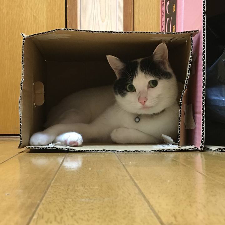 F523d834 64b6 4ae2 98c2 a7b1598164e5