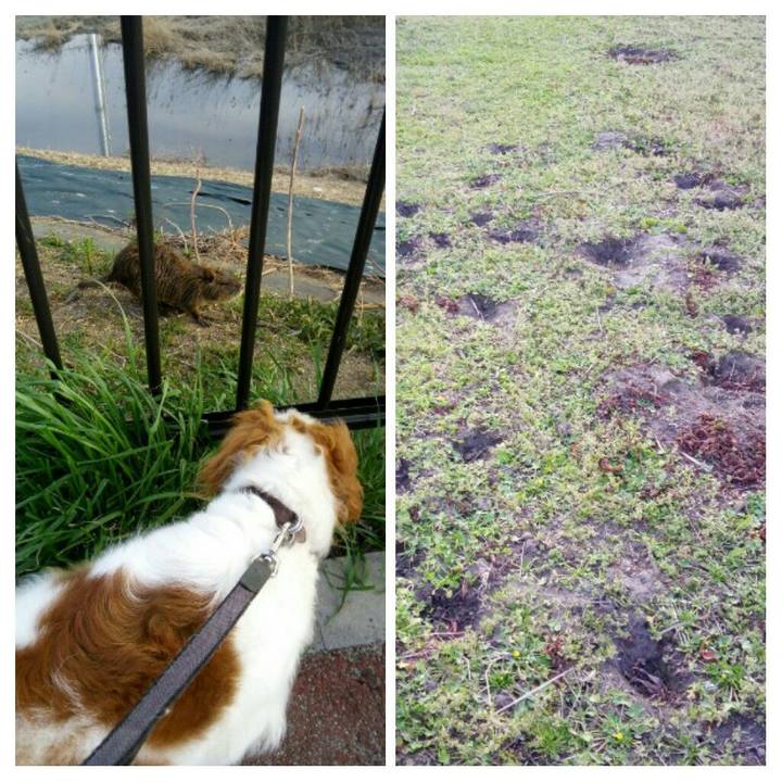 F523f503 4323 4770 9946 b3dbccc1dc94