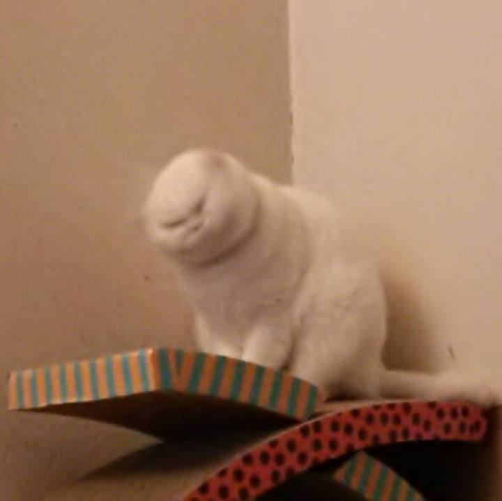 F5242231 8aa7 49e4 abf1 eaeceb309c11