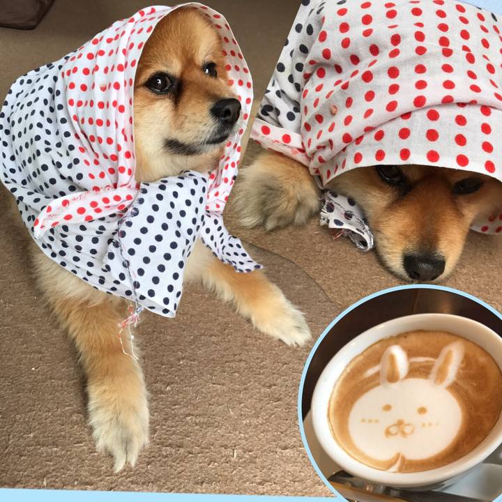 F52430e0 98a9 4203 9142 e82651686d3a