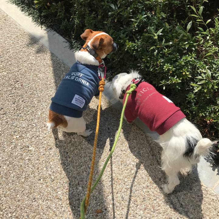 F52452cf 15b0 44cd 822c 899bd1bd5330