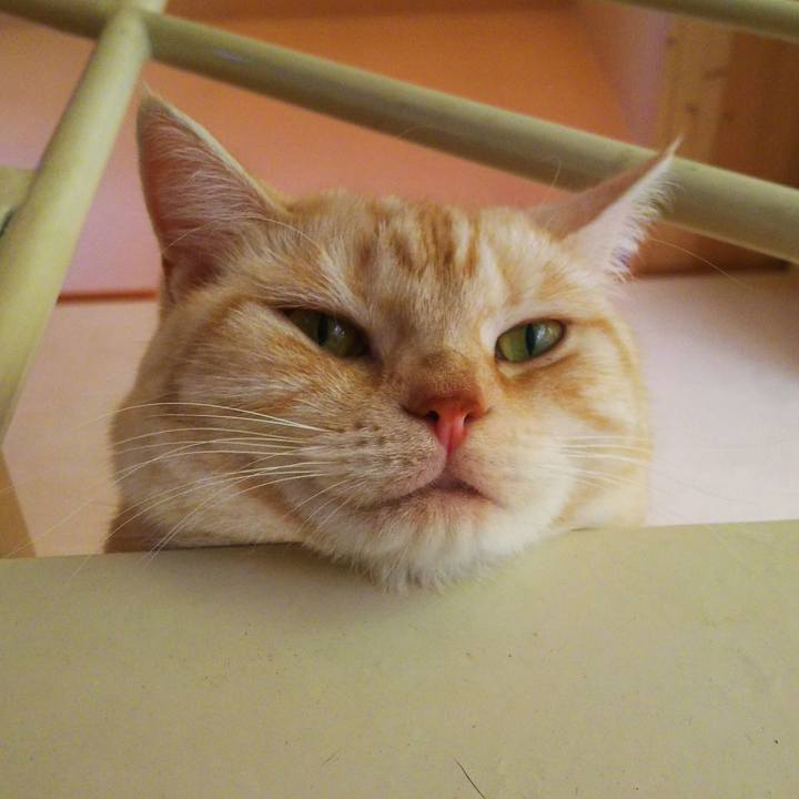 F52548c2 6442 4033 93ca 2be856f825d9