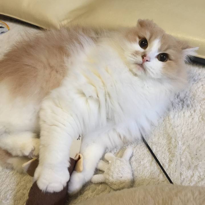 F52677d2 4642 4b58 a242 13236eb84947