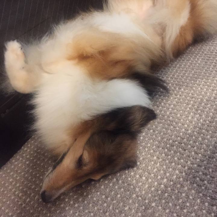 F5269d47 30ce 4497 8e75 6ba7ef5ffcc7