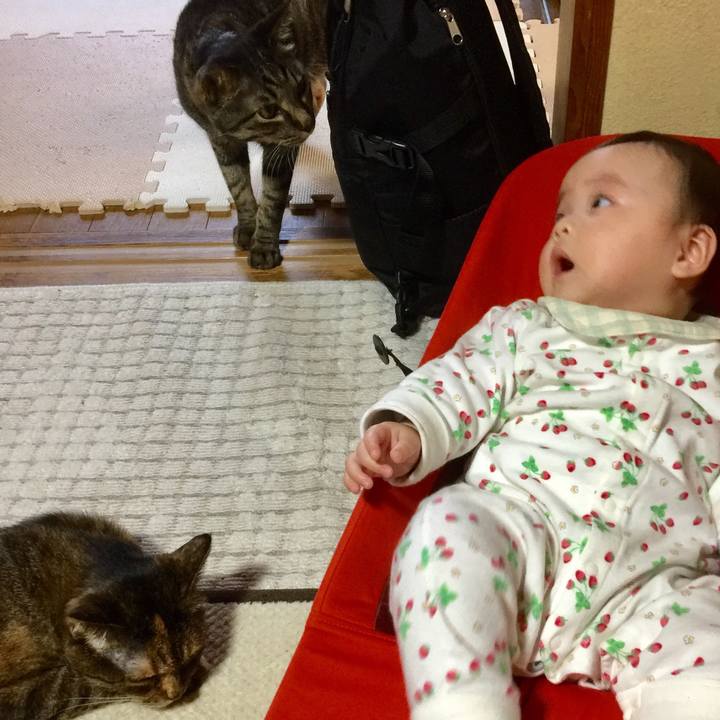 F5271020 5651 44ff bd1c 54c782cd6496