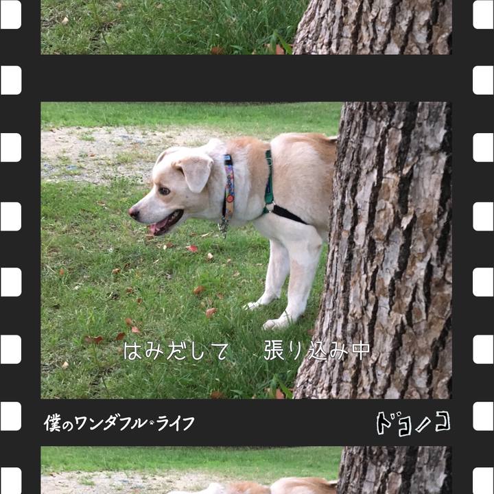 F5276d96 a2e8 45f5 98fa 528506ddea20