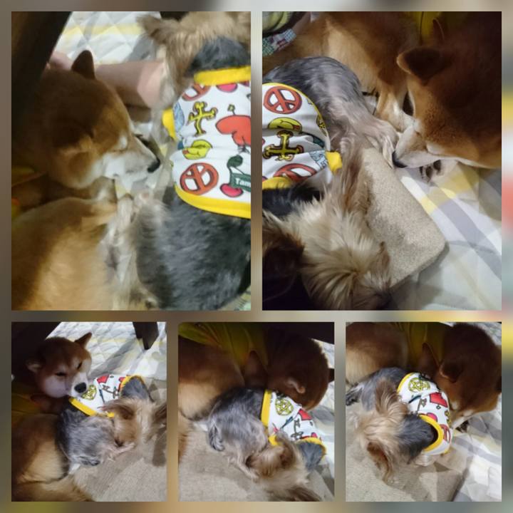 F5281bfb 3540 4687 ab93 80d15006d7e9