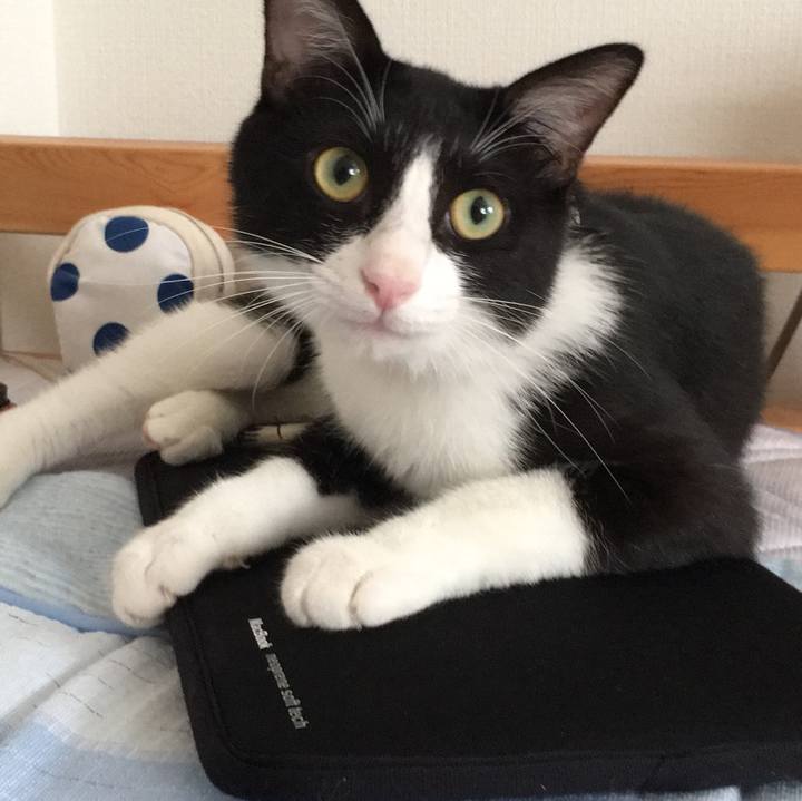 F5282033 499b 4cd3 87dd 1841ef73529e