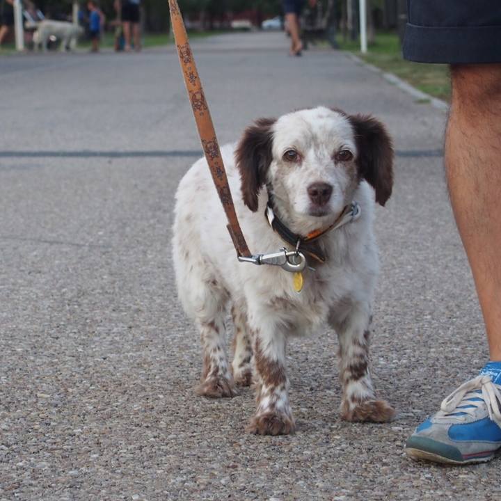 F528221e c5e7 4c9a 8b69 a8bbcb4d005d