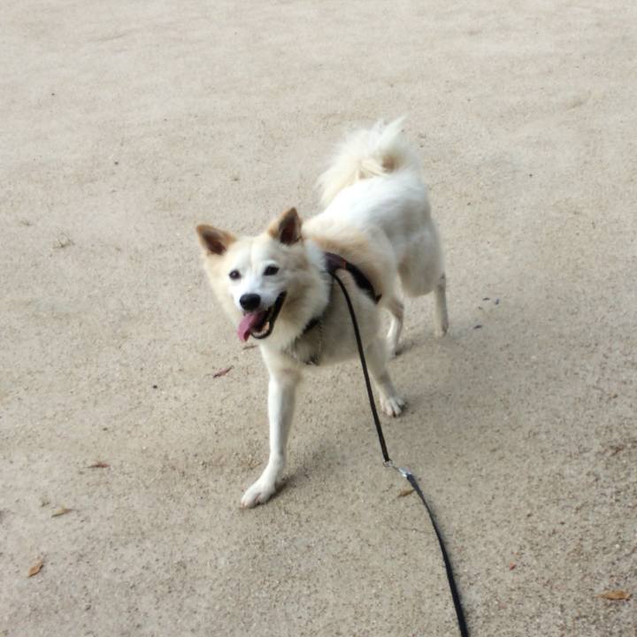 F5284f7b 19e8 4134 adec f463dae42904