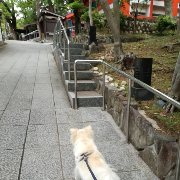 F52958be f262 434c 8ac4 fd395eb60287