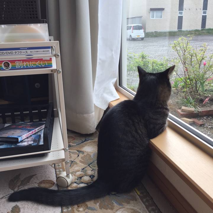 F52986d0 c2fa 411b 989d e9a340c17ba5