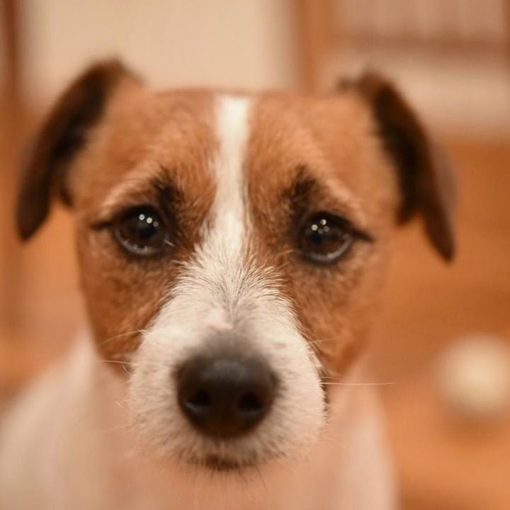 F5299acc 8c37 448a 86a4 8875bae449a1